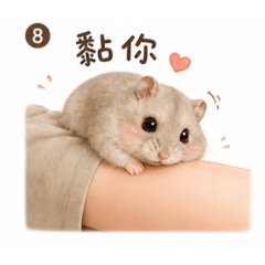 蜜兒、MONEY