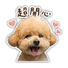 Q比比第三彈_無人能敵的可愛