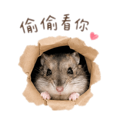 啊饅2