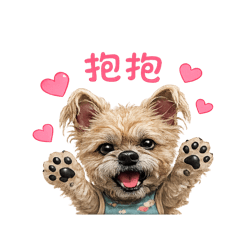 YUNSHUAIN