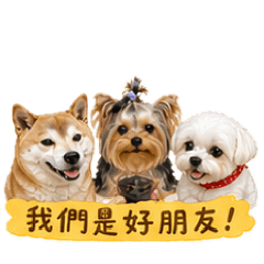 柴寶棉花糖莎公主❤️