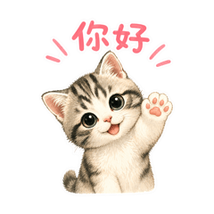 療癒小貓sushi陪你的一天
