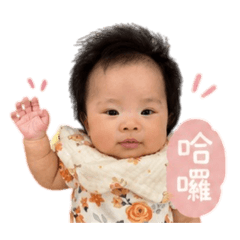 陵陵欸