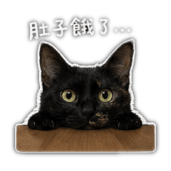 小花的花