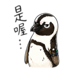 厭世企鵝日常碎唸
