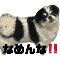 hennnainu