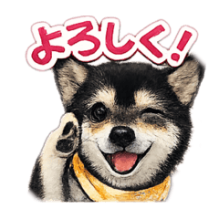 asami_20260503200601