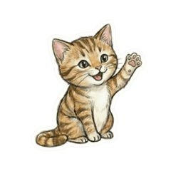 Lively Tony: The Soft Grey Tabby