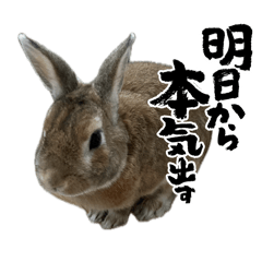 hiroki0210_20260503201117