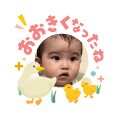 yum_20260503200507