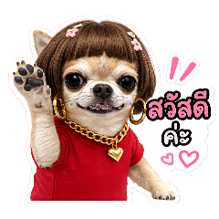 Happy Nice_20260428122459