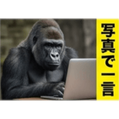 doanobu_nobu_20260427085750