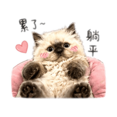 我曾有錢