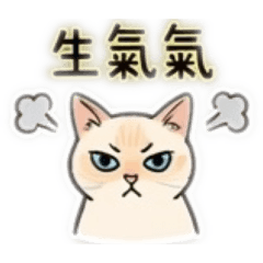 荳哥哥Q