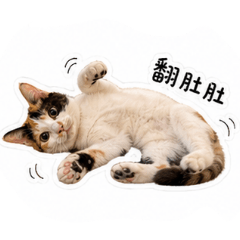 花園兄妹