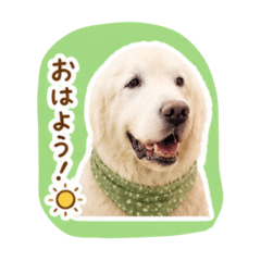 peanuts_20260503201958