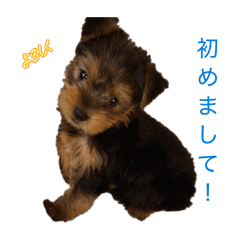 okoge_20260503202313