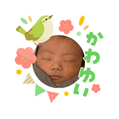 nooooh_20260503202729