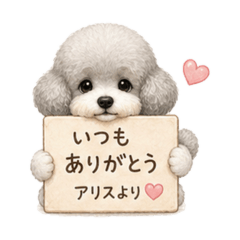 RION&ARICE_20260503202627