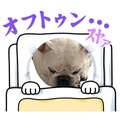 shiori20260503