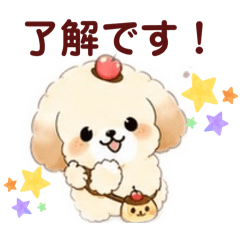 potechi_20260503202511