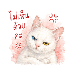 Cat two tone