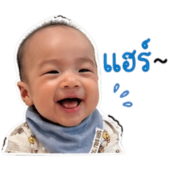 Thaithee_20260428125610