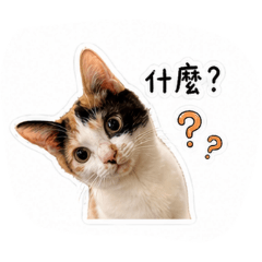 花園兄妹1