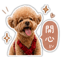 可立姆的完美生活