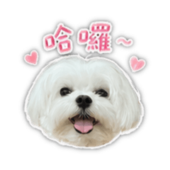 可愛浩克