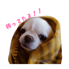 Chihana_20260503191451