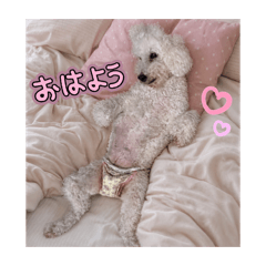 ami_xoxo_20260503203247
