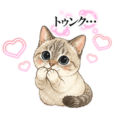 hiroki0210_20260503203556