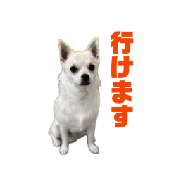 moku_20260503203839