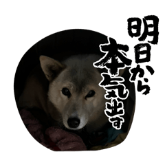maro_20260503203610