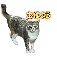 nana_20260503204028