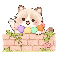 meowgonnoi <3.