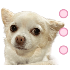 Hey_20260503204729