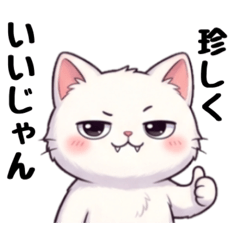 MacoTaro cat05