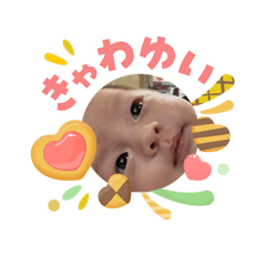 sanappe_20260503204946