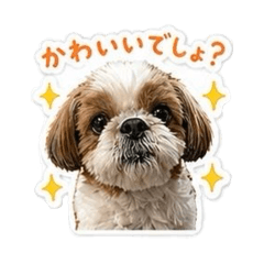 Hinako.I_20260503205123