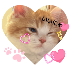 Hitomi_20260503204411