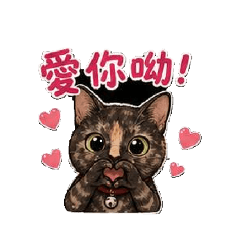 玳瑁紅茶