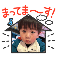 TOMO_20260503205100