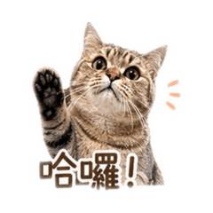 錢錢生活小日常2