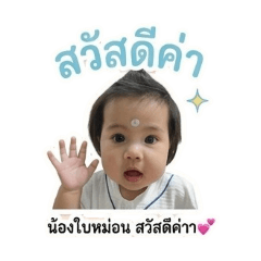 Peemai_20260428130251