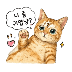 橘子可愛