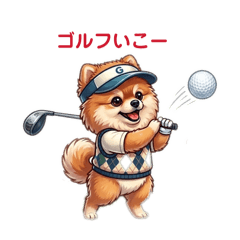 Pomeranian sports