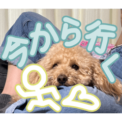 mio_20260503193425
