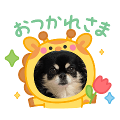 rin_20260503204957